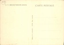 VINTAGE POSTCARD Wood De Paiolive