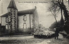 CPA Environs De Dourdan Sainte Mesme Moutons 