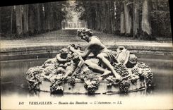 VINTAGE POSTCARD Versailles Basin of Bacchus the Fall
