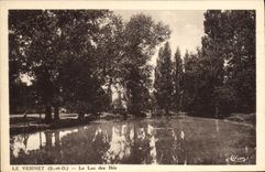 CPA Le Vesinet Le Lac des Ibis