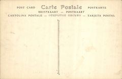 Castillo de la POSTAL de la VENDIMIA de la nube del St