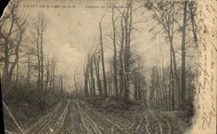 CPA Foret De St Leu Chemin de L'Auriette