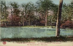 CPA St Germain en Laye Foret La Mare aux Canes 
