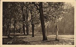 VINTAGE POSTCARD Versailles Gone of Bacchus