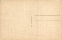 VINTAGE POSTCARD Versailles Frontage on the Park