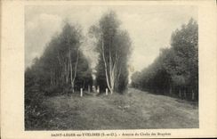 CPA Saint Leger en Yvelines Avenue du Chalet des Bruyeres 
