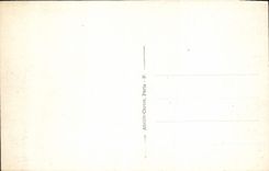 VINTAGE POSTCARD Montmorency Chataignerale