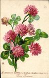 VINTAGE POSTCARD Fleurs Of clover Carries happiness