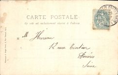 VINTAGE POSTCARD Briis under Ferns Castle of Sensitive to the cold