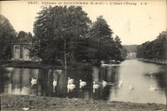 CPA Chateau de Dampierre L'ile et l'etang Cygnes 