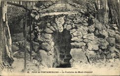 CPA Foret De Fontainebleau La Fontaine Du Mont Chauvet
