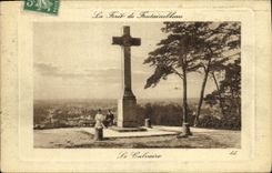 VINTAGE POSTCARD the Drill De Fontainebleau the Martyrdom