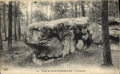VINTAGE POSTCARD Strong De Fontainebleau the Elephant
