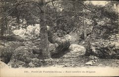 VINTAGE POSTCARD Drill De Fontainebleau Cavaliere Road Of the Brigands