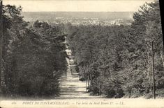 CPA Foret De Fontainebleau Vue Prise Du Mail Henri IV