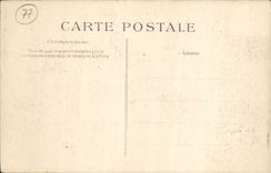 CPA Palais De Fontainebleau L'Etang Des Carpes et le palais