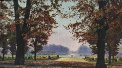 VINTAGE POSTCARD Soft Fontainebleau France Gardens Of the Palate the floor