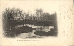 CPA Foret De Fontainebleau La Mare Aux fees