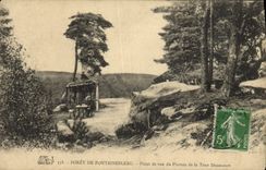 CPA Foret De Fontainebleau Point de vue du plateau de la tour Denecourt