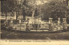 CPA Fontainebleau Le Chateau La Fontaine De Diane