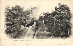 CPA Foret De Fontainebleau La Tour Denecourt