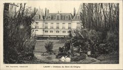 VINTAGE POSTCARD Lagny Castle Of Wood De Chigny Swans