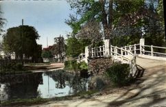 CPM Le Vesinet Bord Du Lac Des lbis Le Pont