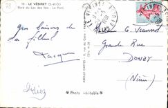 CPM Le Vesinet Bord Du Lac Des lbis Le Pont