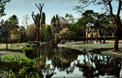 CPM Le Vesinet Petites Rivieres De La Grande pelouse