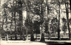CPA Parc de Rambouillet L'Allee des cypres
