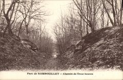 CPA Parc de Rambouillet chemin de onze heures