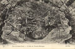 VINTAGE POSTCARD Park Of Cloud Saint the Alley Of Section mountain