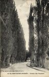 VINTAGE POSTCARD Montgeron Crosnes Avenue of Peupllers