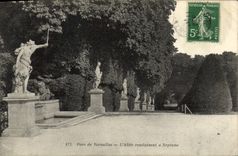 CPA Versailles L'Allee Conduisant a Neptune