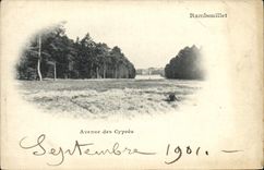 CPA Rambouillet avenue Des Cypres