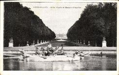 CPA Versailles Allee Royale et bassin d'Apollon