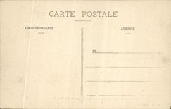 CPA Parc de Versailles bassin d'apollon et le tapis vert