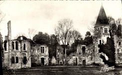 MODERN CARD Fontenay Tresigny Ruins Of the Royal Castle Of the Fish pond
