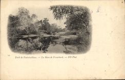 CPA Foret De Fontainebleau La Mare de Franchard