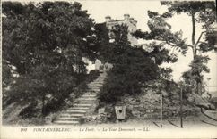 CPA Fontainebleau La Foret La Tour Denecourt