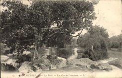 CPA Fontainebleau La Foret La mare de Franchard