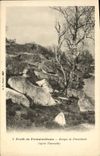 VINTAGE POSTCARD Drill De Fontainebleau Falls De Franchard after the fire