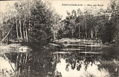 CPA Fontainebleau Mare Aux Boeufs