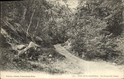 CPA Foret De Fontainebleau La Gorge Aux Loups