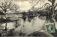 CPA Foret De Fontainebleau La Mare De Franchard