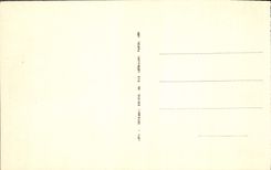 CPA Fontainebleau La Foret Le sphinx des druides