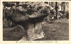 CPA Fontainebleau La Foret Le champignon