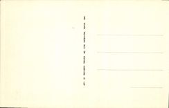 CPA Fontainebleau La Foret La Roche qui pleure