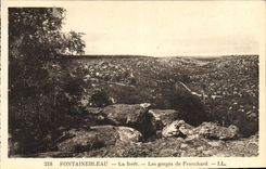 CPA Fontainebleau La Foret Les Gorges De Franchard