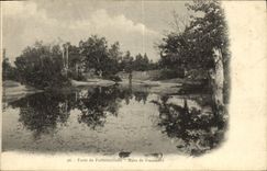 VINTAGE POSTCARD Drill De Fontainbleau Pond of franchard